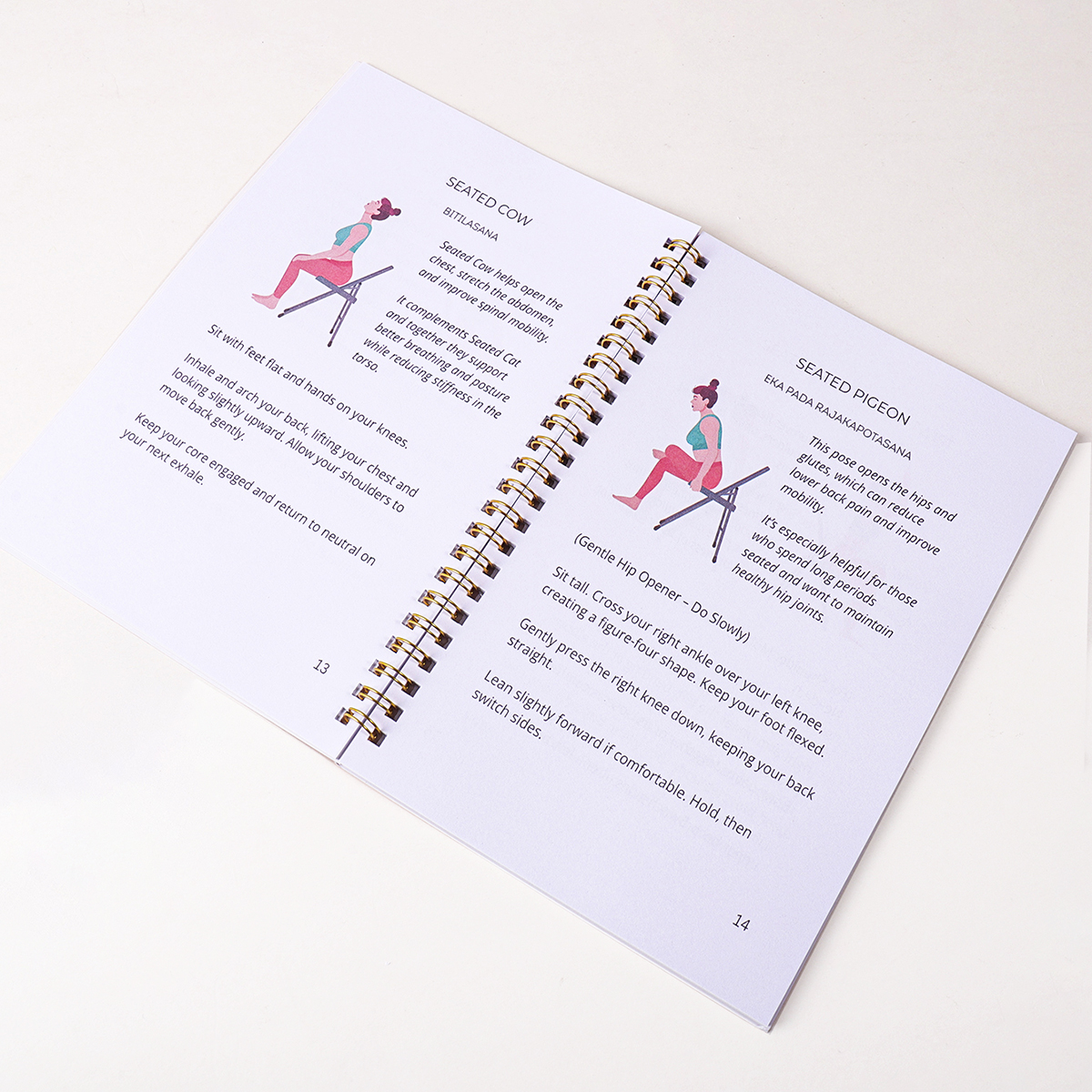 30 Day Chair Yoga Guide Weight - Pilates Yoga Circle ulasan dan harga